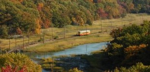 shore line in fall