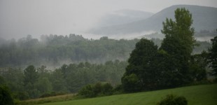 UMF fog 072708.19