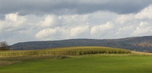 lenox watershed1007.190